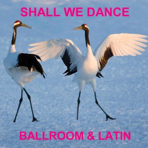 shall we dance for website